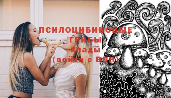 дмт Алексеевка